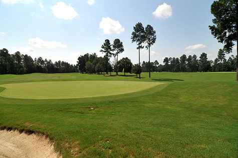 Magnolia Greens NC 29